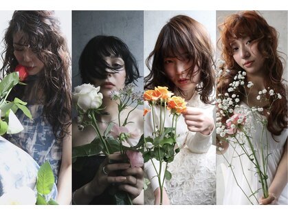 テラ(TELA)の写真