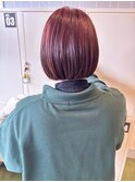 ミニボブRED