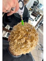 ディータ(Dita)&nbsp;【イージーパーマ】ボウズでもイージードリル！