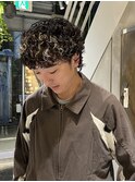 マレットヘア