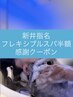 【８・９月／平日限定】ヘッドスパ半額￥６６００→￥３３００組み合わせ必須