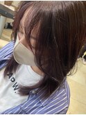 カシスカラー