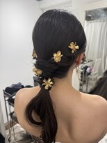 パズードコー(PSSD-CO.+5) ポコポコポニーテール