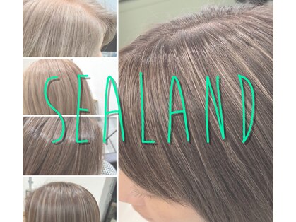 シーランド 八王子(SEALAND)の写真