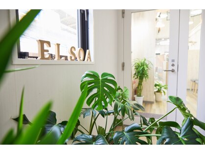エルソア(elsoa,styles)の写真