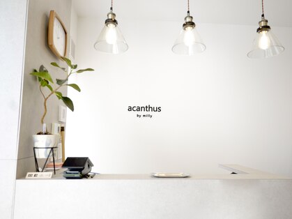 アカンサス バイ ミリー 高槻店(acanthus by milly)の写真