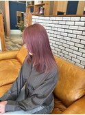 ピンクラベンダー