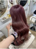 【ダブルカラー】ピンクラベンダー