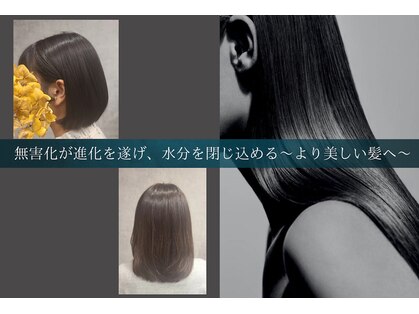 コネクション(connection)の写真