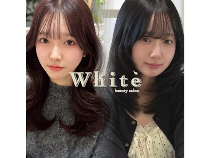 ホワイト(White)の写真
