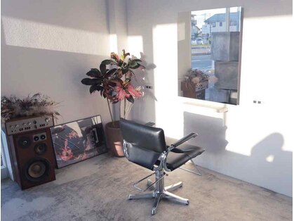 ノーティ(nouty)の写真