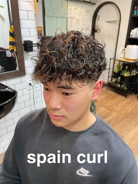 ドッグス 柏(Dawgs) フェザーパーマ　サーフカール　刈り上げセンターパート