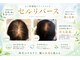 サン 都賀店(san)の写真