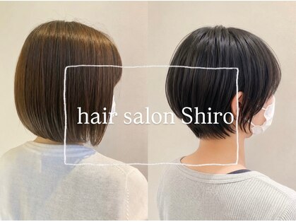シロ(Shiro)の写真