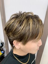 ロータス(LOTUS) メッシュ　メンズカラー