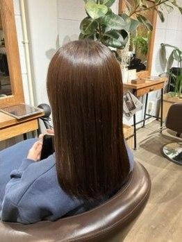 ヘアードレスビュー(hair dress V.I.E.W)の写真/毛髪補修成分配合のバイカルテトリートメント＊髪本来の美しさを取り戻し、強く芯から満ちる髪へ◎