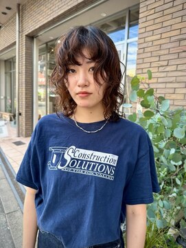 ディドゥダ(di doo dah) medium wolf×perm