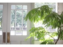 店内も窓の外にもグリーンが広がる癒しの空間♪