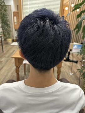 ヘアアレンジショップポレール 初ブリーチからのブルーブラック
