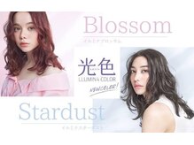 【イルミナカラー】　澄んだ輝きと透明感を放ちつつ奥深く色づくヘアカラー☆最高の光色イルミナの最光色☆