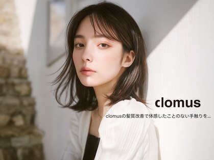 クロムス(clomus)の写真