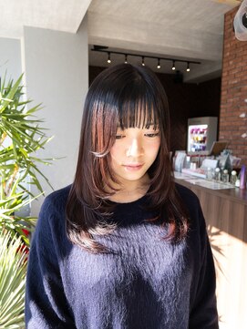 《marin》layer cut × red brown