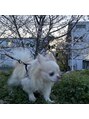 ウェーブ(WAVE)&nbsp;犬もだいすき♪
