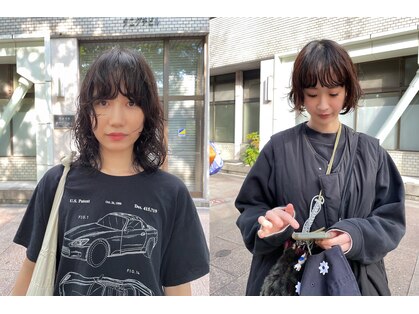 ヤント(yant)の写真