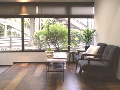 キナリ(kinari)の写真