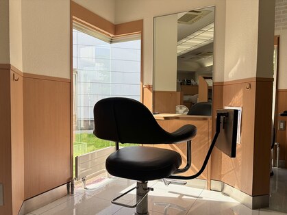 オアシス OASISの写真