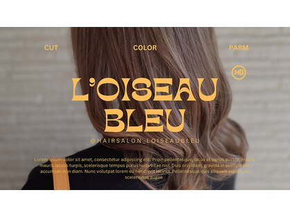 ロワゾーブルー l'oiseau bleuの写真