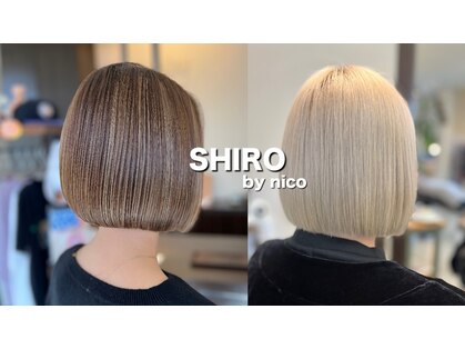 シロ バイ ニコ(SHIRO by nico)の写真