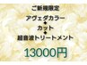 【ご新規限定】　アヴェダカラー+カット+超音波トリートメント　１３０００円