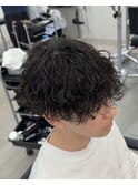 波巻きプードル