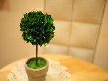 テラナチュレ(Terra Nature)