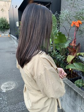 ハブ(hub) コントラストハイライト