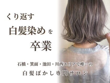ハロー(Hollow)の写真