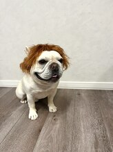 ダニエル(Daniel) しげお