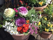 サロンドみなみの雰囲気（冬のお花）