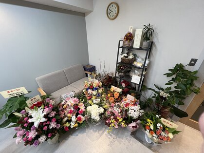 ノディーヘアー(NODDY hair)の写真