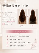        艶・透明感・色持ちまで妥協しない。カラーしながら、うるツヤ美髪へ。