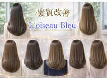 ロアゾブルーミュージアム(L'oiseau Bleu museum)