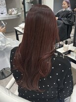 ルクス スマートサロン(Luxs SmartSalon)&nbsp;レッドブラウン