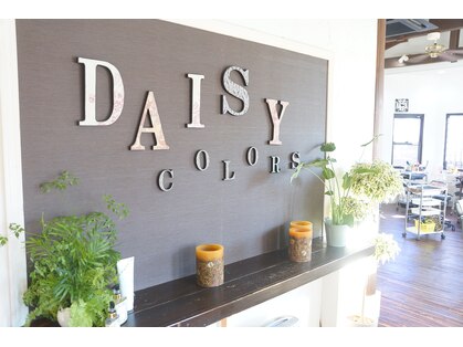 デイジーカラーズ(Daisy Colors)の写真