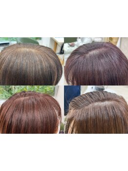 【女性stylist ONLY★香椎駅徒歩1分】白髪ぼかし・明るめカラークーポン☆ルーカラー、イルミナカラー