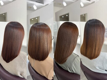 ネルケ(nelke)の写真