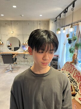 ランプ(Lamp) シースルーマッシュ