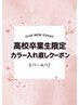 【2026年高校卒業生/他店舗】期間限定カラー入れ直し＋TRクーポン￥7980
