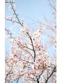 サクラ(Sakura)/Sakura professional perm salon  