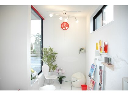 ナユタ(Nayuta)の写真